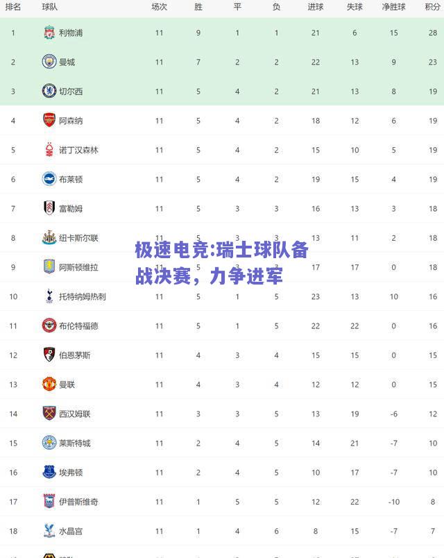 瑞士球队备战决赛，力争进军