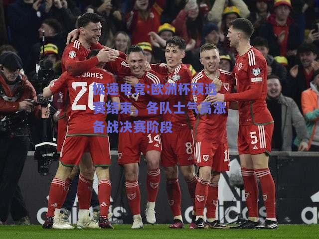 欧洲杯预选赛结束，各队士气高涨备战决赛阶段