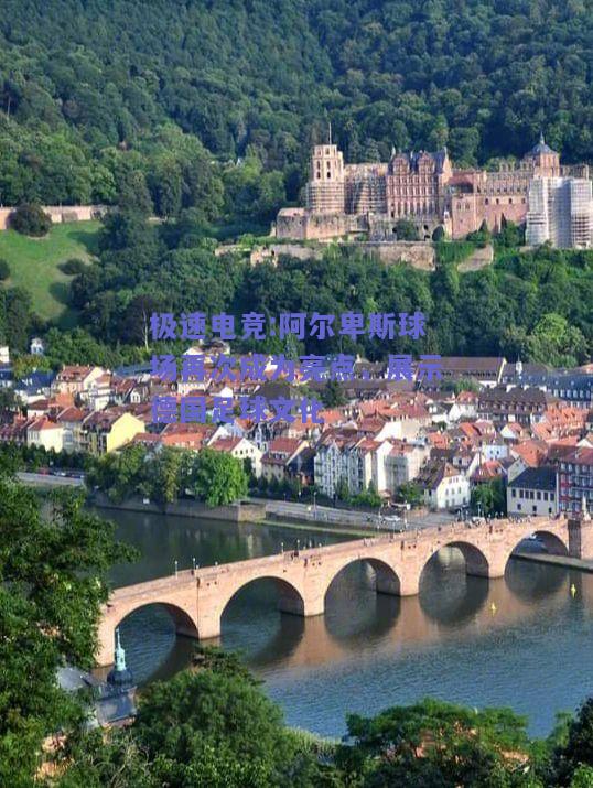 阿尔卑斯球场再次成为亮点，展示德国足球文化